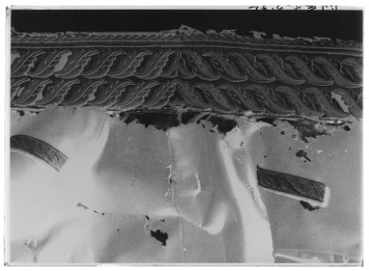Syrtut till Karl XIV Johans fältmarskalksuniform - Livrustkammaren - 1873-negative