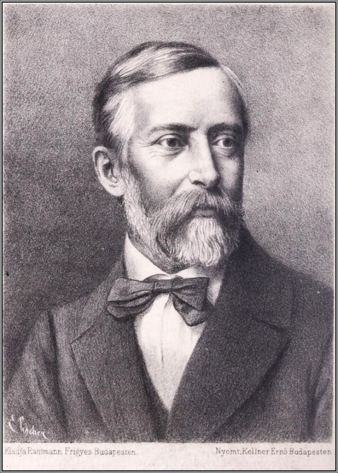 Szigligeti Ede portré, Koszoru, 1879