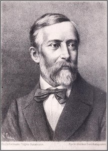 Szigligeti Ede portré, Koszoru, 1879