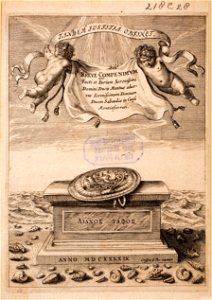 Syncerus-Philalithus-Breve-compendium-facti MG 0982