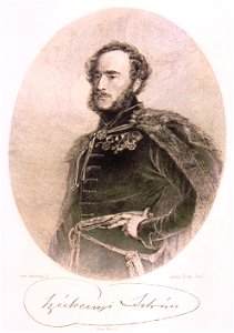 Széchenyi István - Doby, von Amerling
