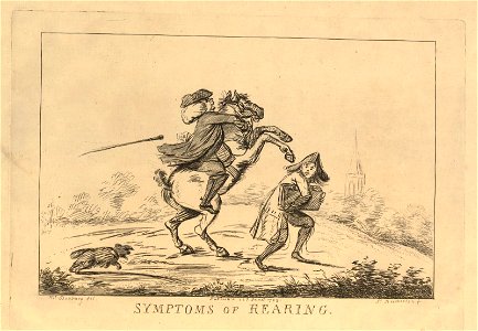 Symptoms of Rearing (BM 1873,0712.832)