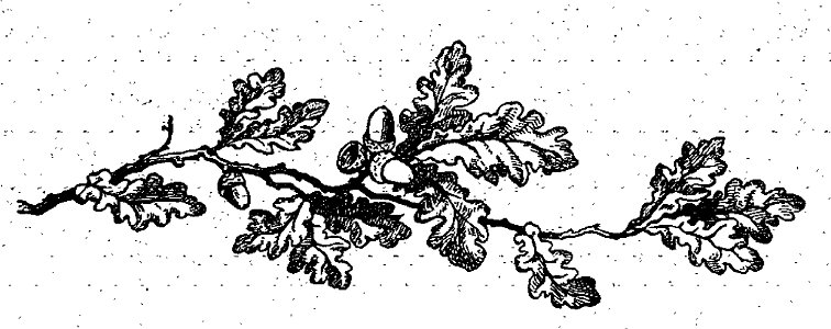 Sébillot - Contes de terre et de mer (page 176 crop)