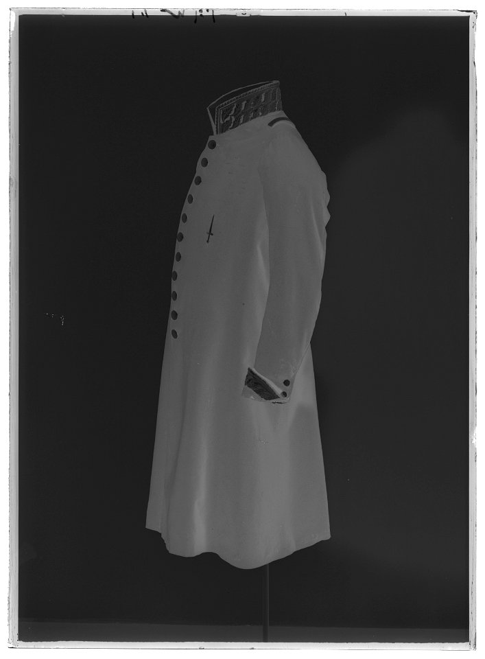 Syrtut till Karl XIV Johans fältmarskalksuniform - Livrustkammaren - 27596-negative
