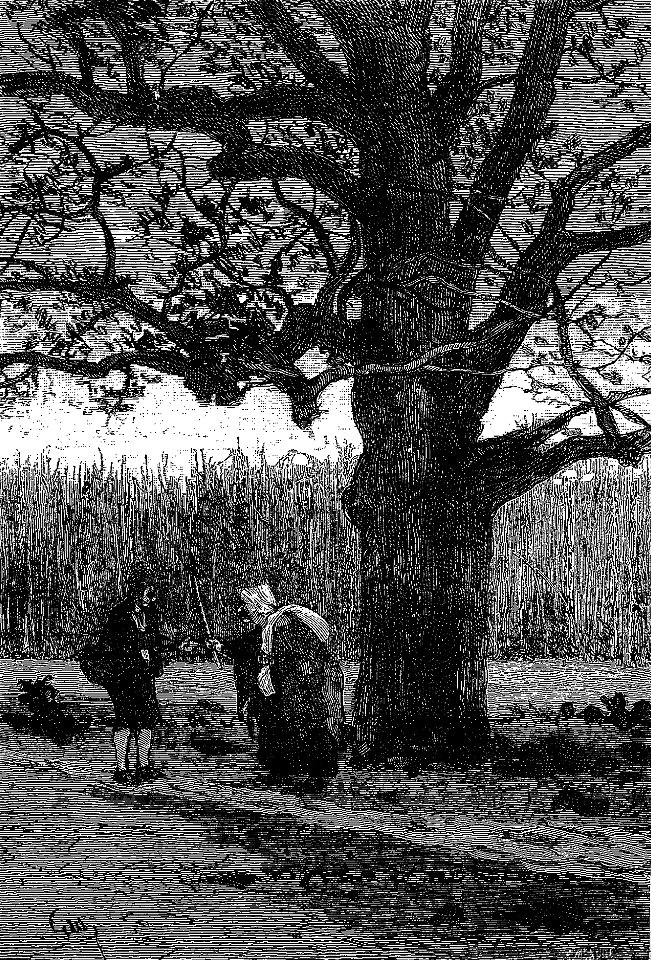 Sébillot - Contes de terre et de mer (page 230 crop)-2