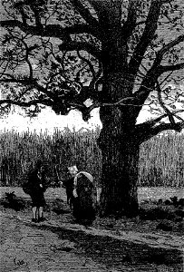 Sébillot - Contes de terre et de mer (page 230 crop)-2