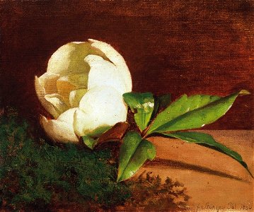 Szinyei White Magnolia 1866