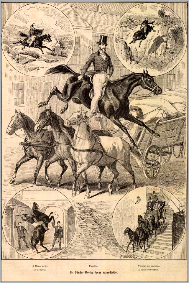 Sándor Móric lovas kalandjaiból. Mo. és a Nagyvilág, 1878