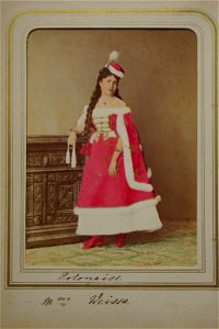 Szathmári Romanian court members in historical costume 43