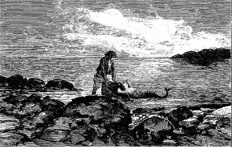 Sébillot - Contes de terre et de mer (page 168 crop)