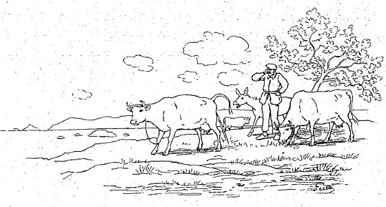 Sébillot - Contes de terre et de mer (page 211 crop)