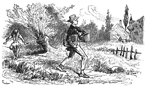 Ségur - Le mauvais génie p240