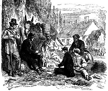 Ségur - Mémoires d’un âne p167b