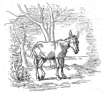 Sébillot - Contes de terre et de mer (page 18 crop)-2