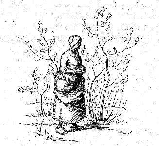 Sébillot - Contes de terre et de mer (page 9 crop)