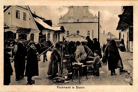 Słonim, Školny Dvor. Слонім, Школьны Двор (1916)