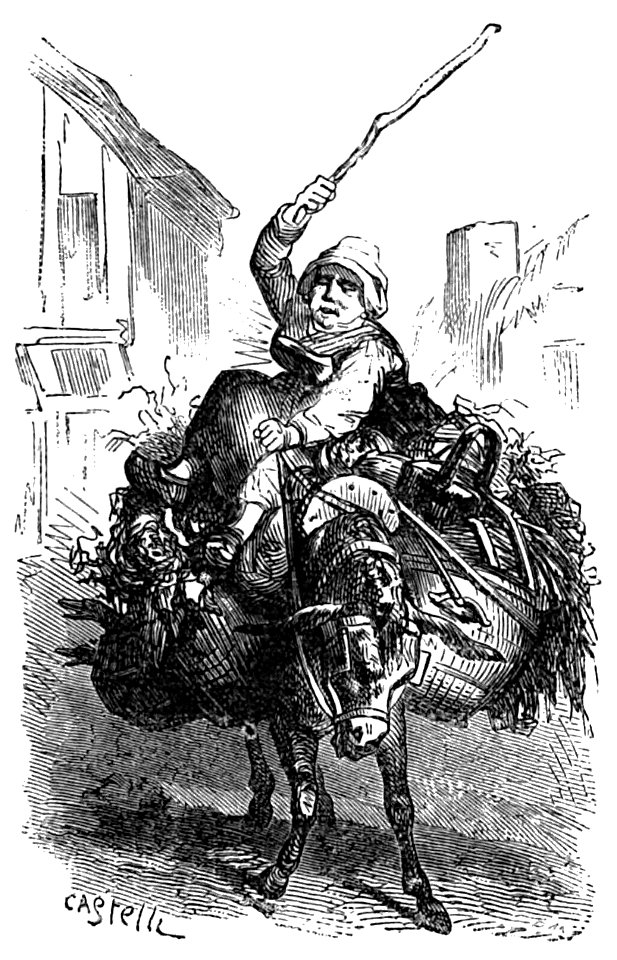 Ségur - Mémoires d’un âne p015