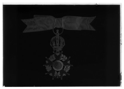 Södra Korsets ordenskors - Livrustkammaren - 78690-negative