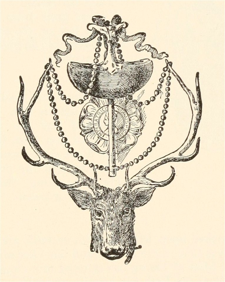 T2JB419 - illustration