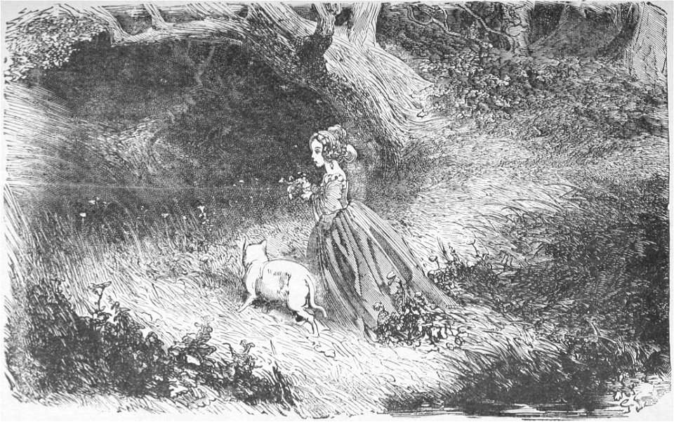 Ségur, Nouveaux contes de fées, p23