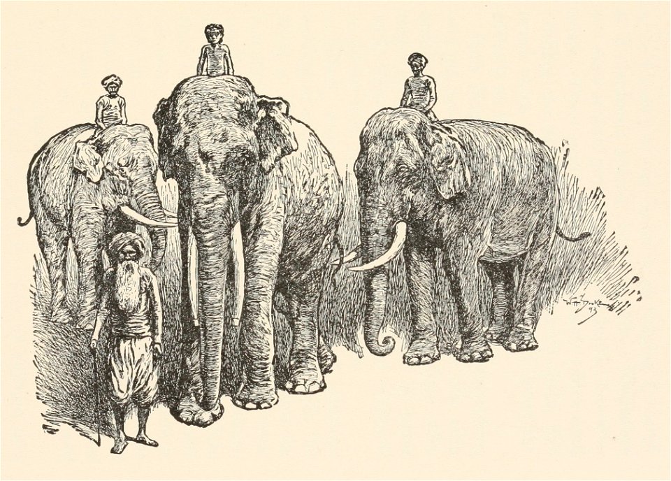 T2JB503 - illustration