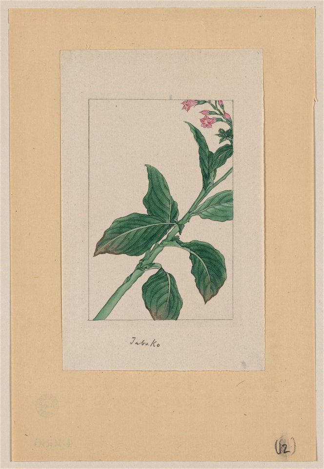 Tabako LCCN2009630280