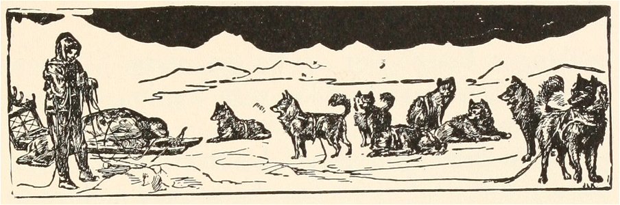 T2JB461 - Quiquern title illustration