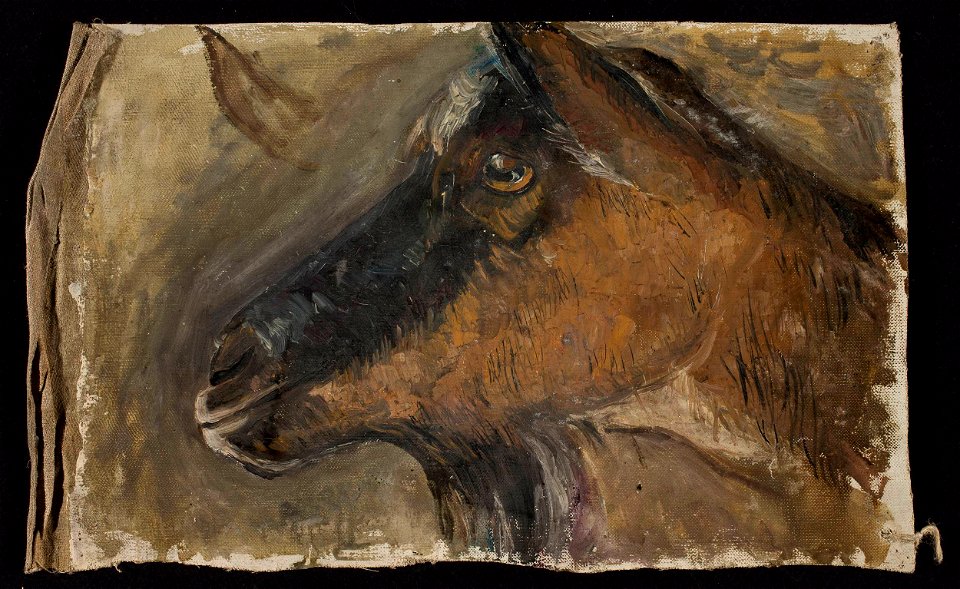 Tadeusz Makowski - Study of a goat’s head - MPW 2527 MNW - National Museum in Warsaw