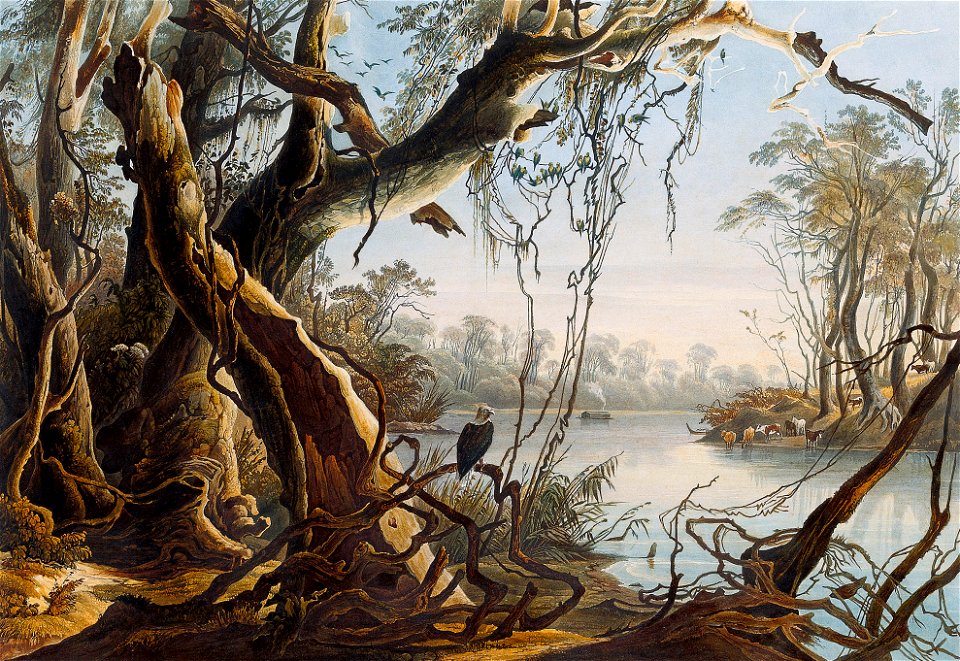 Tableau 5 Mouth of Fox River (Indiana) by Karl Bodmer (cropped)