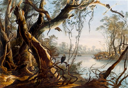 Tableau 5 Mouth of Fox River (Indiana) by Karl Bodmer (cropped)