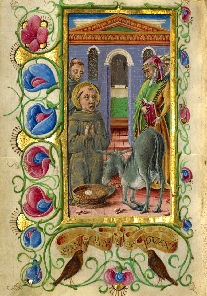Taddeo Crivelli (Italian, died about 1479, active about 1451 - 1479) - Saint Anthony of Padua - Google Art Project