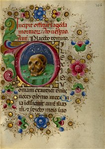 Taddeo Crivelli (Italian, died about 1479, active about 1451 - 1479) - Initial D- A Skull in a Rocky Field - Google Art Project. Free illustration for personal and commercial use.