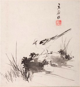 Tachihara Kyōsho - Wagtail on a Rock - 1985.723.1 - Arthur M. Sackler Museum