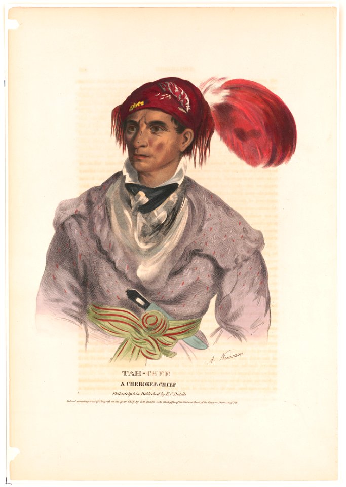 Tah-Chee, a Cherokee chief - A. Newsam. LCCN2004675105