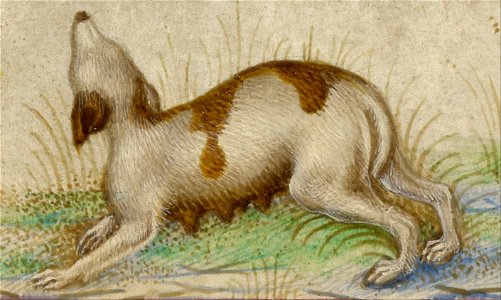 Taddeo Crivelli (Italian, died about 1479, active about 1451 - 1479) - Gualenghi-d'Este Hours - Google Art Project