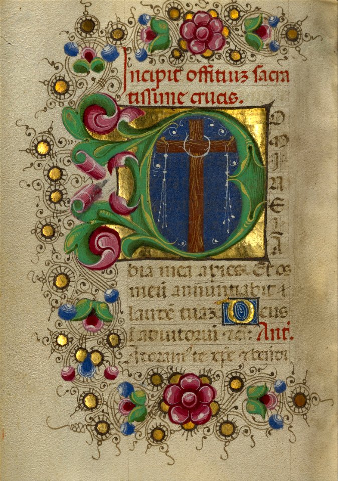 Taddeo Crivelli (Italian, died about 1479, active about 1451 - 1479) - Initial D- The Cross - Google Art Project