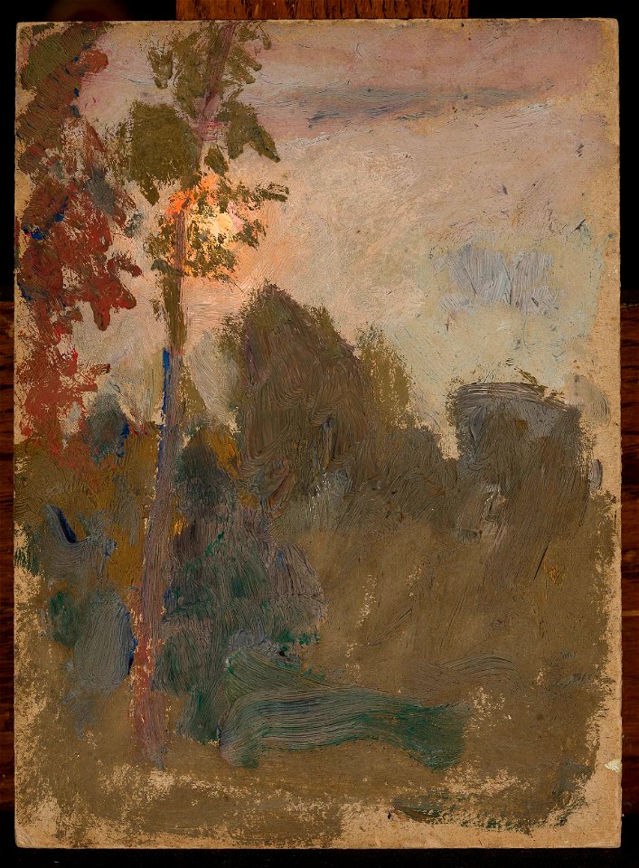 Sunset in a forest, Tadeusz Makowski, circa 1907