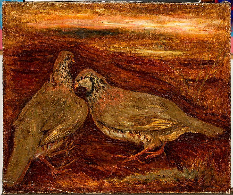 Tadeusz Makowski - Two birds - MPW 2641 MNW - National Museum in Warsaw