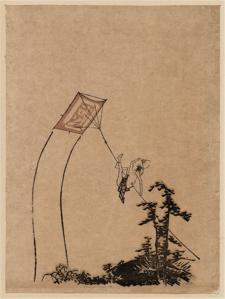 Tako ni noboru otoko LCCN2009615422