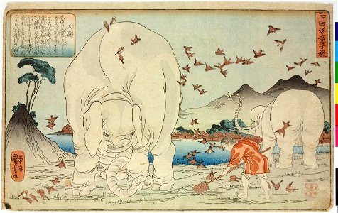 Taishun 大舜 (Dashun) (BM 2008,3037.16901)