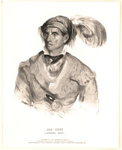 Tah-Chee, a Cherokee chief - drawn, printed & coloured at I.T. Bowen's Lithographic Establishment No. 94 Walnut St. LCCN2013645355