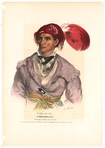 Tah-Chee, a Cherokee chief - A. Newsam. LCCN2004675105