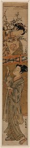 Tako age suru danjo LCCN2008661150