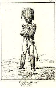 Tambour major. Inf. de ligne (BM 1855,0414.73)
