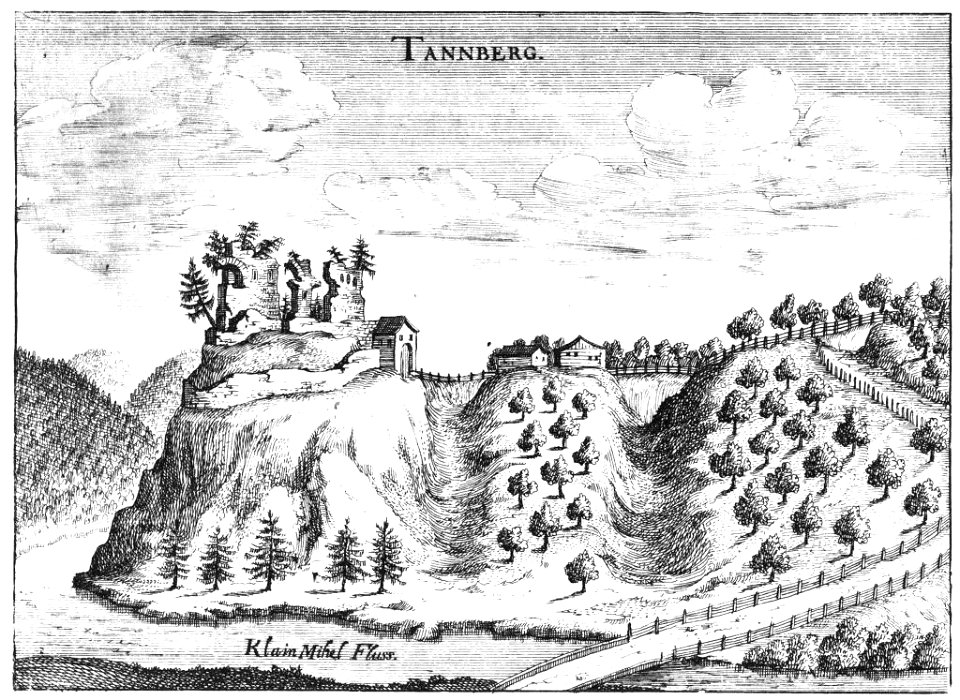 Tannberg-neu
