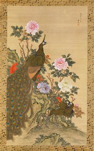 Tani Bunchō - Peacocks and Peonies - 14.76.51 - Metropolitan Museum of Art