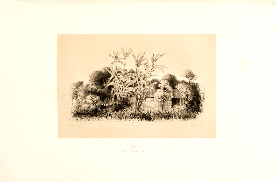 Tapará den 30 November 1842, da Coleção Brasiliana Iconográfica