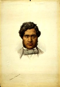 Tamihana Te Rauparaha, watercolour by George French Angas