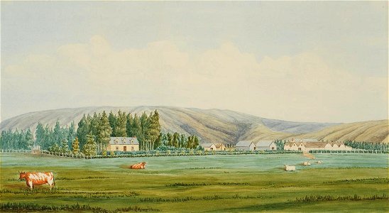 Tapanui Homestead by Samuel Edwy Green