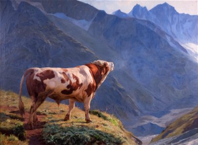 Taureau dans les Alpes oil painting 1884